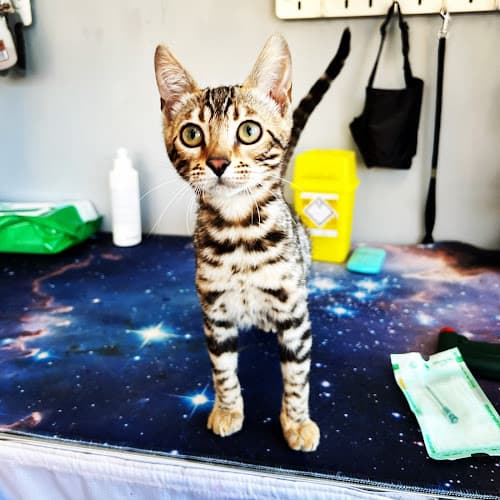 Business listing image