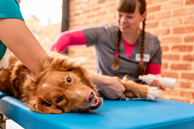 Business listing image