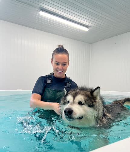 Business listing image