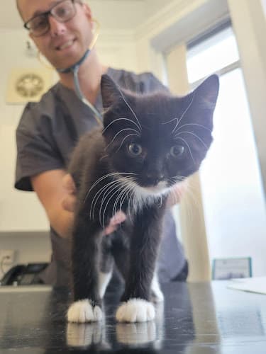 Business listing image