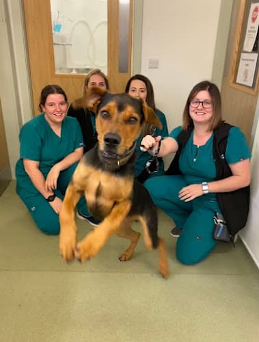 Business listing image