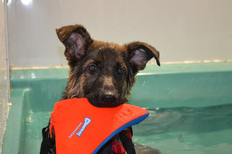 Business listing image