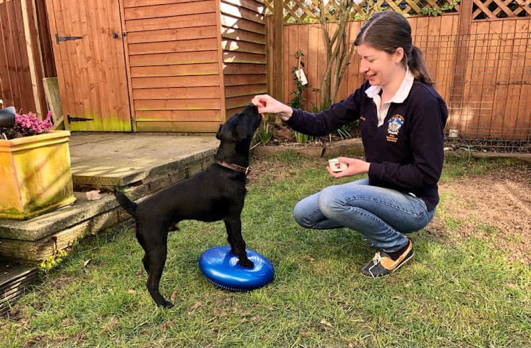 Business listing image