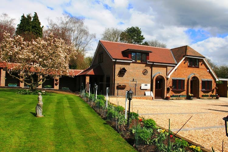 Business listing image