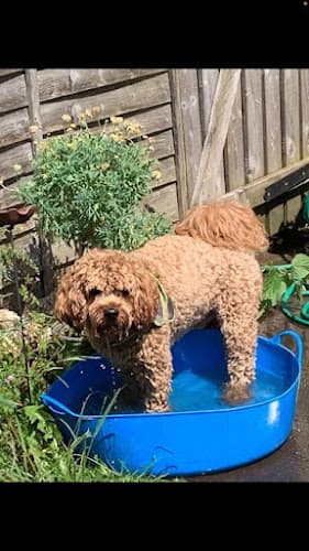 Business listing image