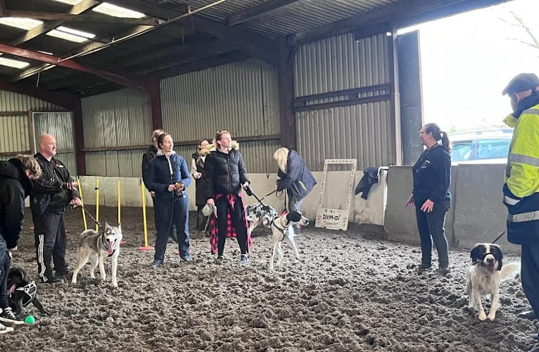 Business listing image