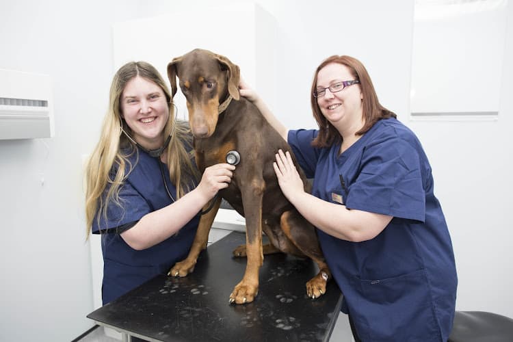 Business listing image