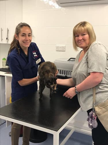 Business listing image