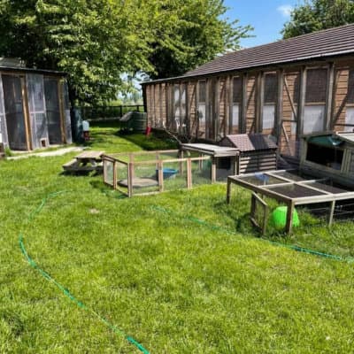 Business listing image