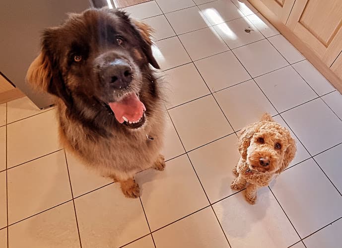 Business listing image