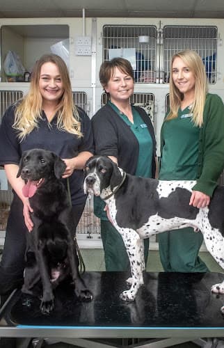 Business listing image