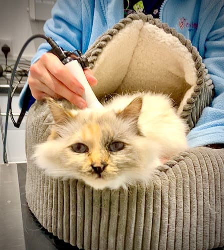 Business listing image