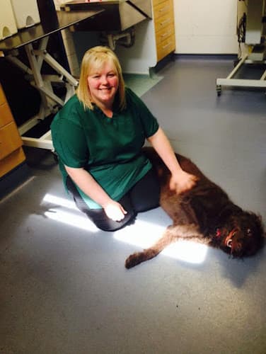 Business listing image