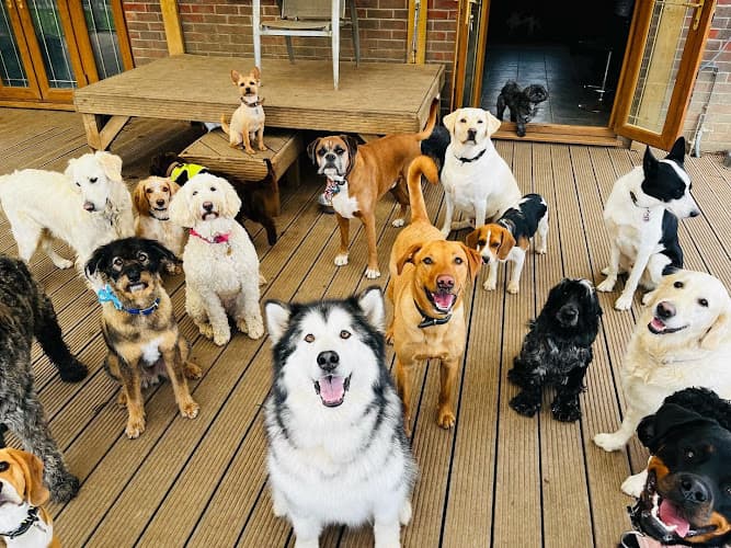 Business listing image