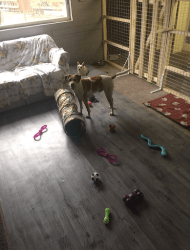 Business listing image