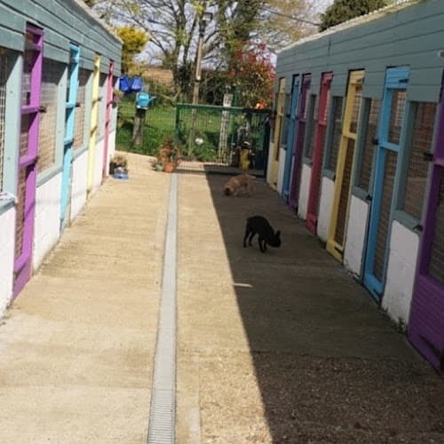 Business listing image