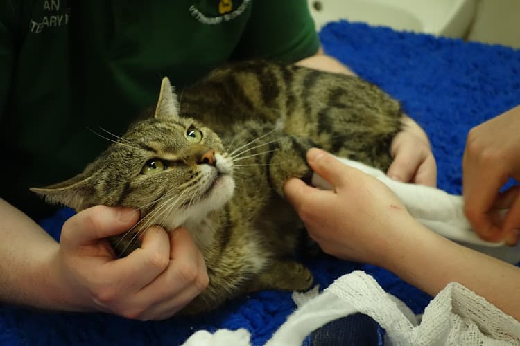 Business listing image