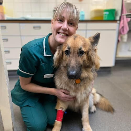 Business listing image