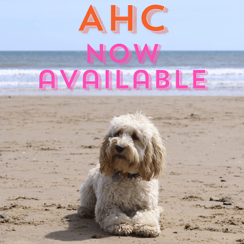 Business listing image