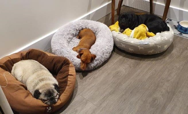 Business listing image