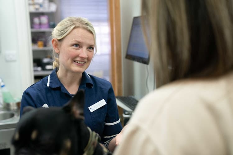 Business listing image