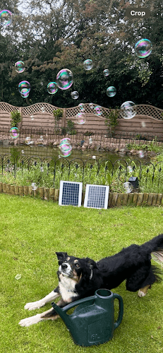 Business listing image