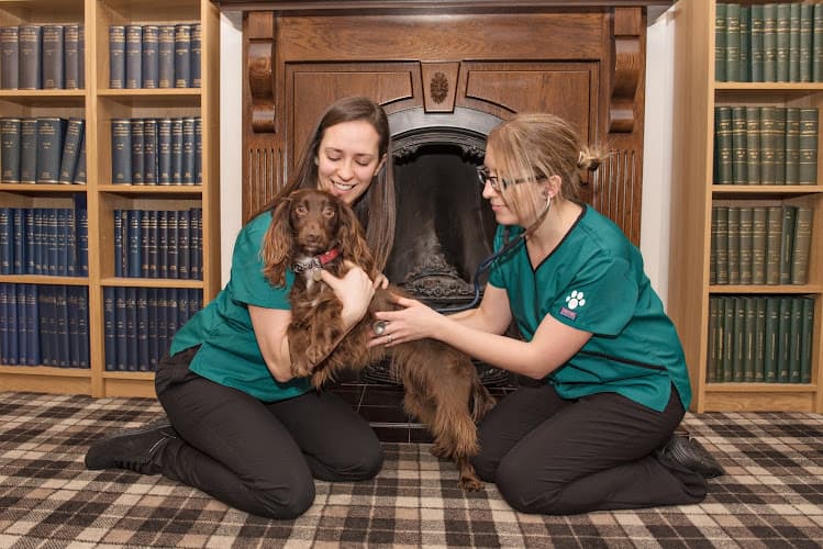 Business listing image