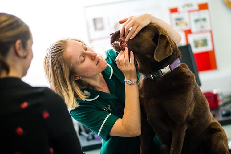 Business listing image