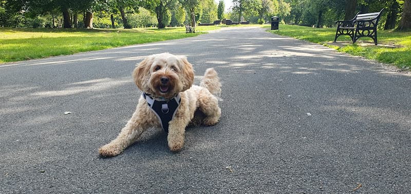 Business listing image