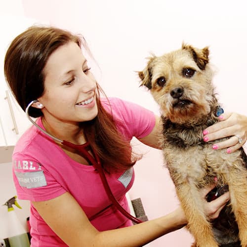 Business listing image