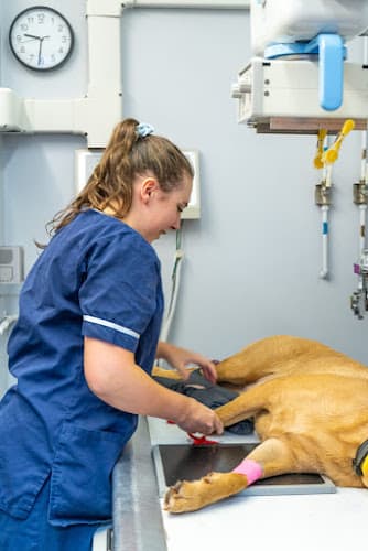 Business listing image