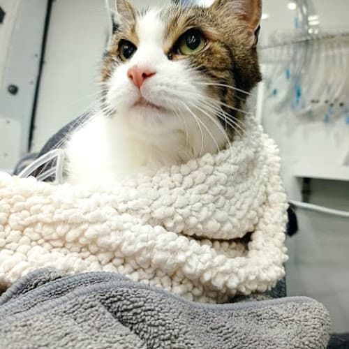 Business listing image