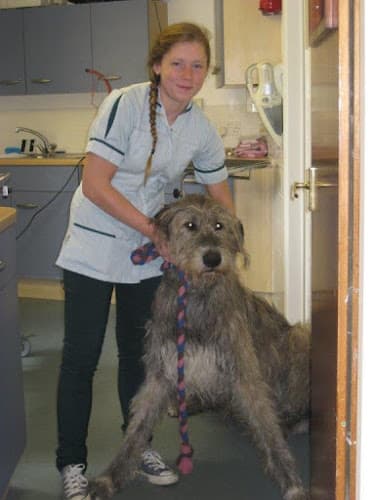 Business listing image