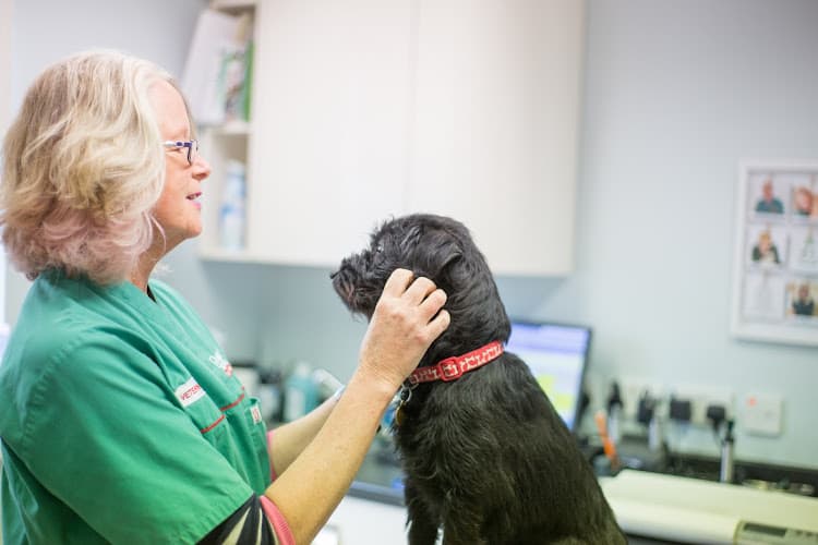 Business listing image