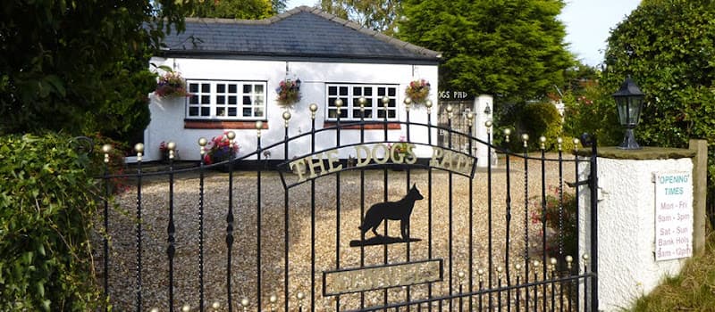 Business listing image