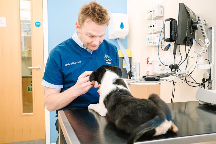 Business listing image