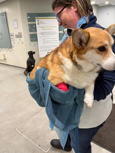 Business listing image