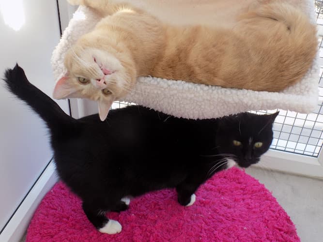 Business listing image