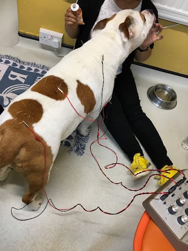 Business listing image