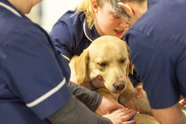 Business listing image