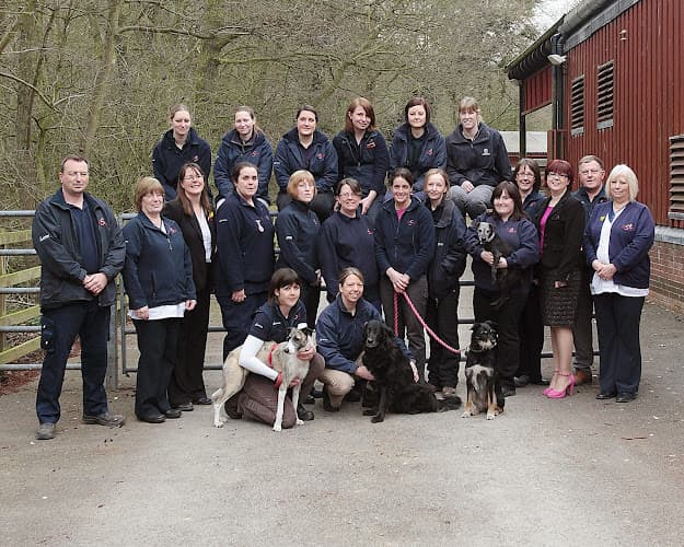 Business listing image