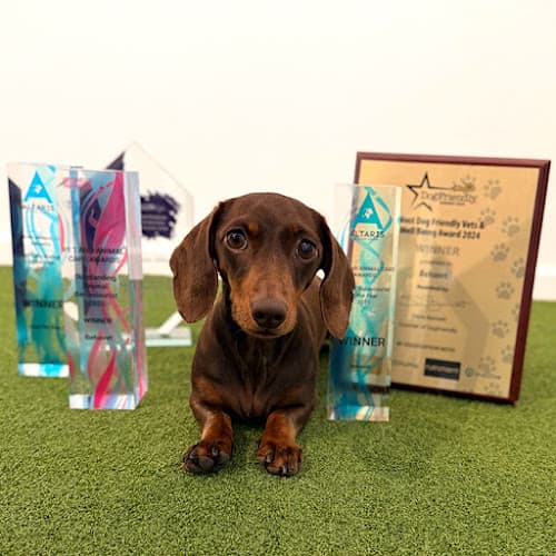 Business listing image