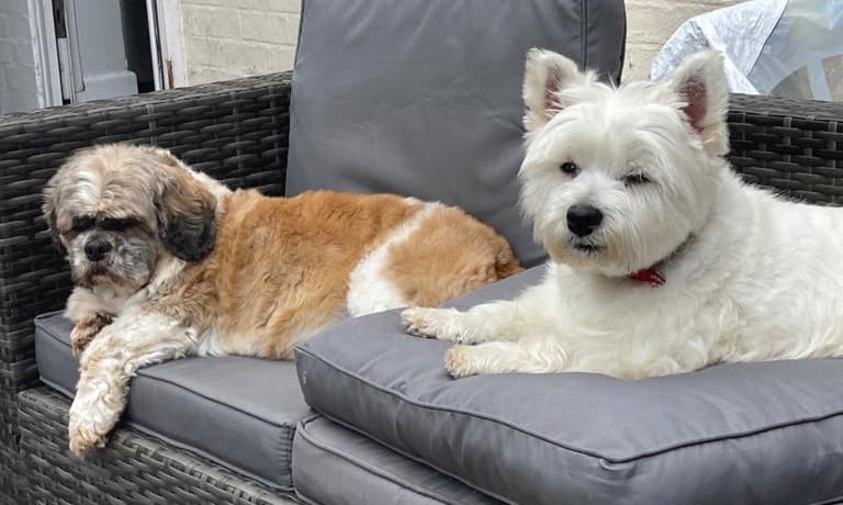 Business listing image