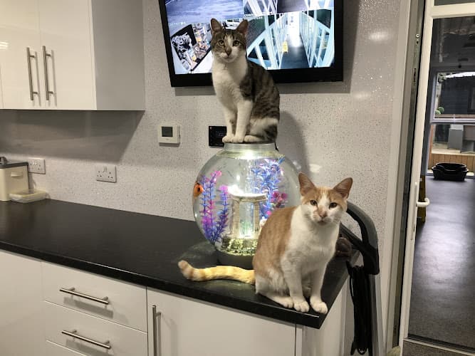 Business listing image