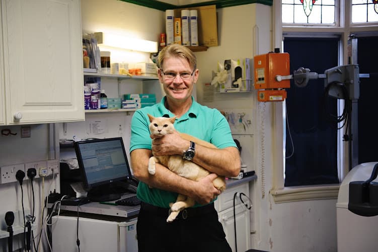 Business listing image