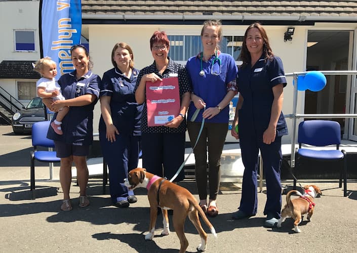 Business listing image