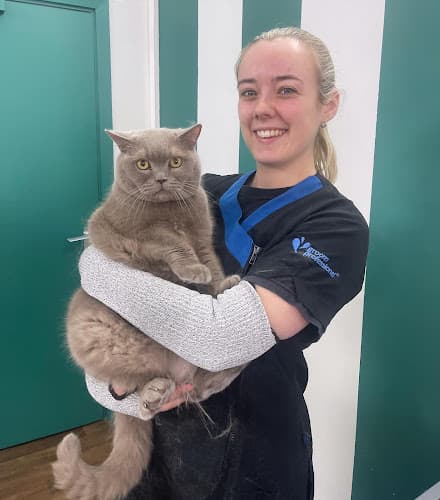 Business listing image