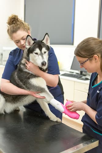 Business listing image