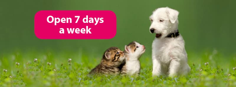 Business listing image