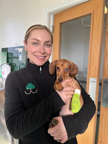 Business listing image